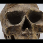 Chiodo fisso - teschio - morte scaramanzia - SCULPTURE - MODELLING - SCULPT - MODELLAZIONE - MONSTERCLAY - caracter design - caracter - napoli - arte - artista- scultura anima artist's pieces naples marigliano raffaele del giudice pomigliano nola scultore scultura sculpt sculpture opere d'arte anima artist's pieces campania Giovanni