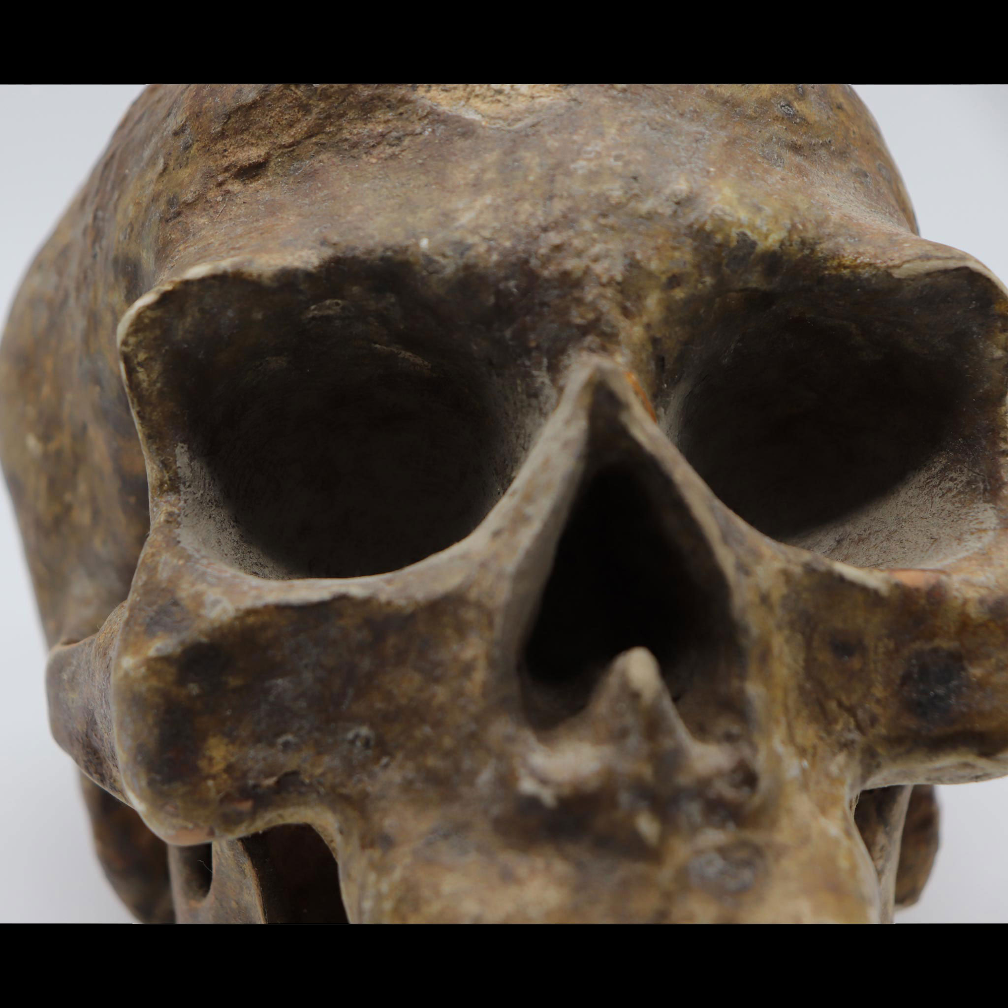 Chiodo fisso - teschio - morte scaramanzia - SCULPTURE - MODELLING - SCULPT - MODELLAZIONE - MONSTERCLAY - caracter design - caracter - napoli - arte - artista- scultura anima artist's pieces naples marigliano raffaele del giudice pomigliano nola scultore scultura sculpt sculpture opere d'arte anima artist's pieces campania Giovanni